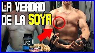 ¿LA SOYA quotFEMINIZAquot Y BAJA TESTOSTERONA ESTRÓGENOS Y HOMBRES [upl. by Nylac789]