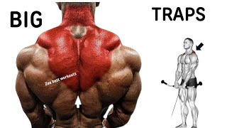 Best 8 effective exercises for bigger traps and upper traps [upl. by Arnon177]