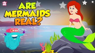 Are Mermaids Real  Story of Mermaids  The Truth Behind the Mermaid Myth  The Dr Binocs Show [upl. by Job]