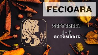 FECIOARA Horoscop SAPTAMANA 16 Octombrie 2024 [upl. by Eceela60]