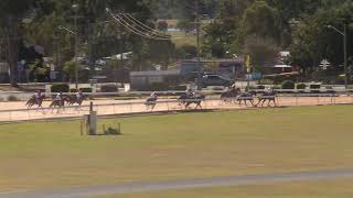 Gympie 20240720 Race 1 [upl. by Lairbag]