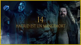 14 HAGRID EST UN MANGEMORT THEORIE HARRY POTTER [upl. by Razaele971]