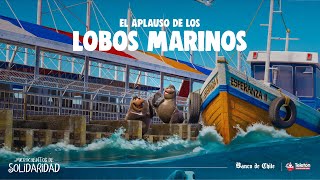 Microcuentos de Solidaridad – El aplauso de los lobos marinos [upl. by Gamin]