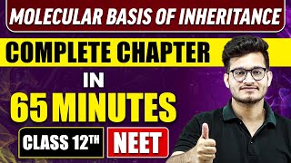 MOLECULAR BASIS OF INHERITANCE in 65 Minutes  Full Chapter Revision  Class 12th NEET [upl. by Cathey331]