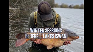 Archie B  Winter Sessions  Bluebell lakes Swan [upl. by Eart]