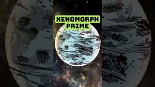 Homeworld The Xenomorphs Secret Origin Story [upl. by Nawrocki]