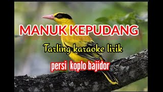 MANUK KEPUDANGTARLING KARAOKE LIRIK PERSI KOPLO BAJIDORreyvans music [upl. by Binetta637]