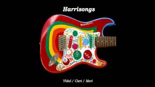 Old Brown Shoe  Harrisongs George Harrison tribute album [upl. by Enayr]