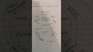 Bronfenbrenners Ecological Theory ctet ctetexam ctet2024 shorts youtubeshortsyoutubeshorts [upl. by Eltsyrc739]