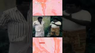 Goundamani senthil comedy whatsapp status  Goundamani comedy dialogue tamilcomedy shortsfeed [upl. by Akener]