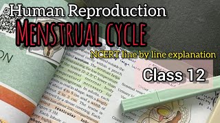 Menstrual cycle  NCERT line by line explanation  Part 6 [upl. by Tisdale697]