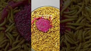 Mealworm With Half Dragon Fruit  Time Lapse Shorts [upl. by Ahsitneuq]