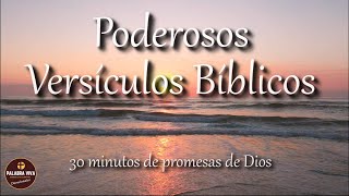 Versículos Bíblicos de paz ánimo y esperanza  Biblia en audio  Salmos 91 23 121 y más [upl. by Freytag]