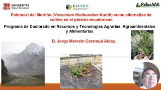 Potencial del Mortiño como alternativa de cultivo en el páramo ecuatoriano [upl. by Nlocnil]