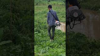 Grass Cutting cuttingskills agriculture farming youtubeshorts [upl. by Reyaht218]