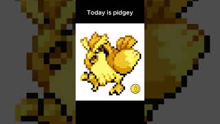 Day 16 of turning every Pokémon in to Pikachu pidgey littlebird [upl. by Ahsyekal946]