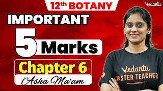 12th Botany  Chapter 6  Important 5 Mark Questions  2nd Mid Term  Asha Maam [upl. by Nirrek735]