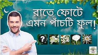 Five night blooming flower ।রাতে ফোঁটা এমন পাঁচটি ফুল । night flower gardening plants [upl. by Algie]