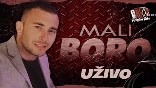 Mali Boro  Ptico moja bijeli labude Uživo 2024 [upl. by Ihab]