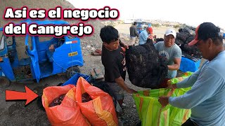 Mirá el Negocio del Cangrejocon un final de Esperanza de Ayuda Humanitaria [upl. by Noiram100]