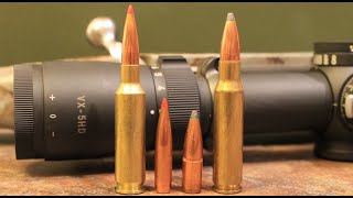 65 Creedmoor vs 308 Winchester Which One Should You Hunt With [upl. by Dur784]