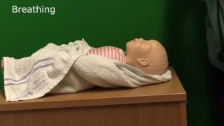 Neonatal Resuscitation  Demonstration [upl. by Balac]