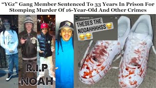 The 16 Year Old Whos Death Sparked Bronxs Deadly Gang War  YGz v OGz [upl. by Harve]