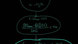 Michaelis Menten Equation Derivation [upl. by Gilus]