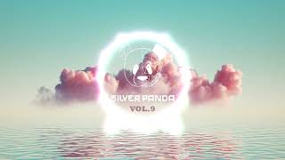 Silver Panda Melodic Sessions  Vol 9 [upl. by Retsae]