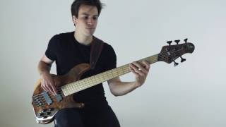 Kőrös Tamás  James Pat Metheny bass cover [upl. by Yeslah]