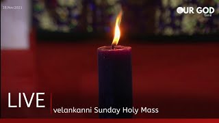 velankanni live mass today  velankanni live [upl. by Platus]