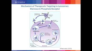 Targeted Locus Amplification for Transgene Sequencing in rCHO Clones [upl. by Tova]