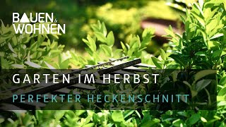 Garten im Herbst Profitipps zum Hecke schneiden  BAUEN amp WOHNEN [upl. by Nosremaj939]