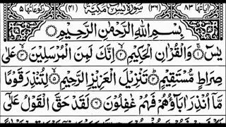 Surah Yasin 🕌🕋♡❤  Surah YASEEN surah mulk aur atal kursi surah [upl. by Ilocin]