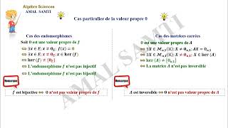 Réduction des endomorphismes partie N° 1 Les valeurs propres [upl. by Chadd]