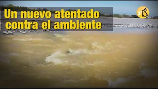 Atentado contra el medio ambiente Estudios confirman presencia de metales pesados en río Tambo [upl. by Arrimat]