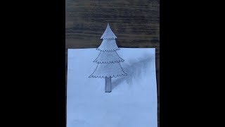 How To Draw Pine Tree 3D Quick Simple And Easy With pencil [upl. by Ecitsuj544]