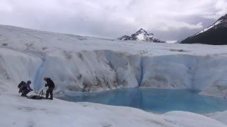 Glacier Grey Ice Hike [upl. by Caplan674]