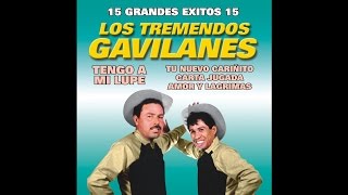 Los Tremendos Gavilanes  Que Sacrificio [upl. by Nebe875]