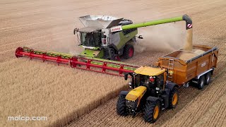 4k Harvest 2022 Claas Lexion 8900 TT harvesting Oats on Mendlesham Airfield  final part now in 4k [upl. by Elisabeth178]