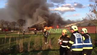 1300 biggen en zeugen gevangen in vuurzee bij grote brand varkensstal Oirschot [upl. by Llenyar570]