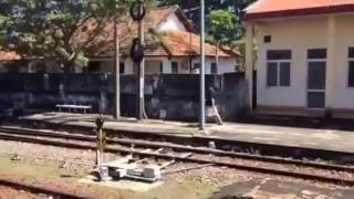 Arriving into Bình Thuận Railway Station Vietnam [upl. by Llewen191]