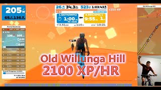 Zwift XP Farming  Old Willunga Hill 50 Elevation Almost 2100XPHr without extra bonus [upl. by Annasoh]