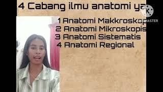 tugas anatomi dan fisiologi membuat resumen vidio anatomi [upl. by Xuagram692]