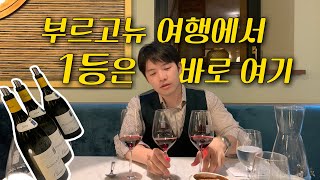 올리비에 르플레이브Olivier Leflaive 호텔 레스토랑🥂 프랑스 부르고뉴 여행에서 꼭 가봐야할 곳 [upl. by Tsuda]