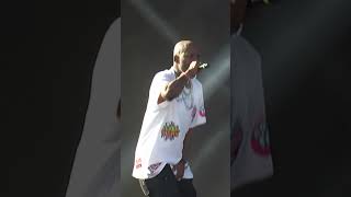 DMX SHOWS THE WORLD JUST HOW RUFF RYDERS ROLL  YONKERS FINEST  DMX LIVE SHORTS MUSIC RAP LIVE [upl. by Lledniuq141]