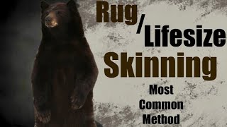 Rug  Lifesize Skinning Method most common method [upl. by Eatnuahs]