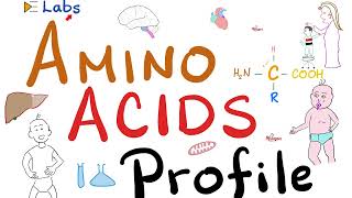 Amino Acid Profiles  Inborn Errors of Metabolism Diagnosis  Blood amp Urine Tests  Labs 🧪 [upl. by Yrocal]