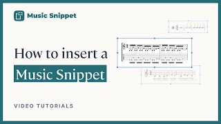 How to insert a snippet  Music Snippet [upl. by Yerak797]