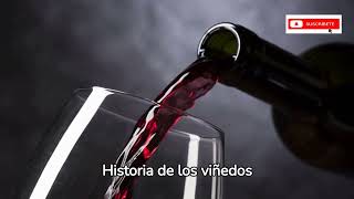 Historia de los vinos en Mendoza ARGENTINA [upl. by Kevin]